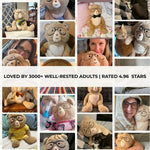 Percy, 5 lb. Comfort Bear™ - Velle