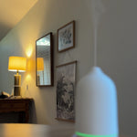 Diffuser misting scent