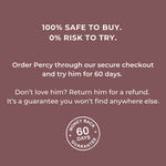 A promotional text graphic on a dusty mauve background with white lettering. The text says '100% SAFE TO BUY.