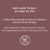 A promotional text graphic on a dusty mauve background with white lettering. The text says '100% SAFE TO BUY.